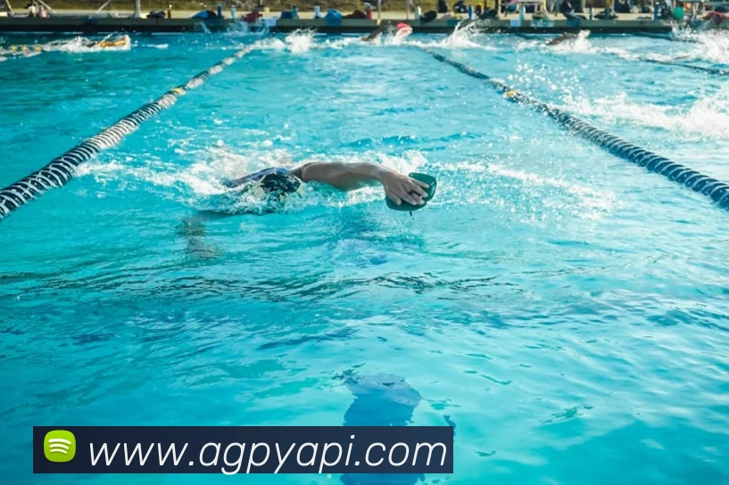 ag百家乐平台生态图