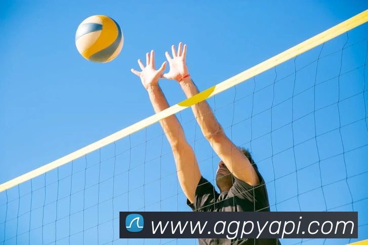 ag百家乐APP 封面图