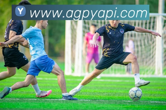 数据防护可视化